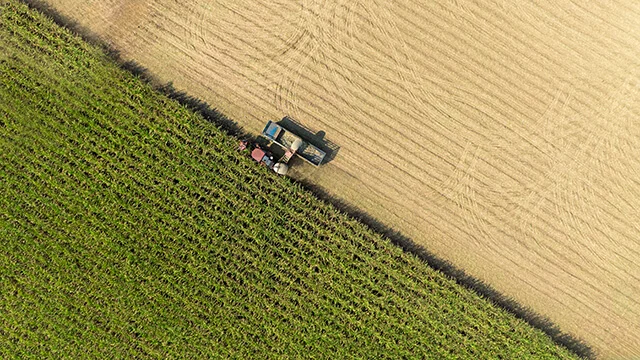 field with grass agriculture
