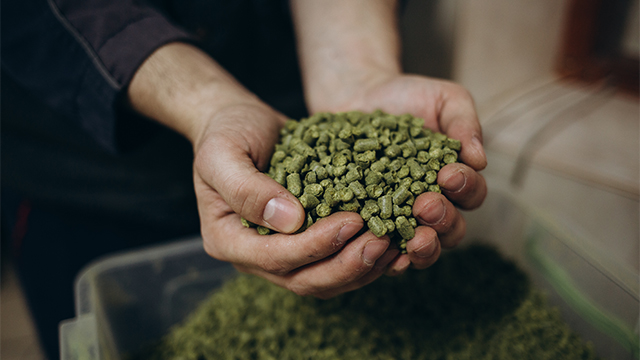 a man holding beer crops