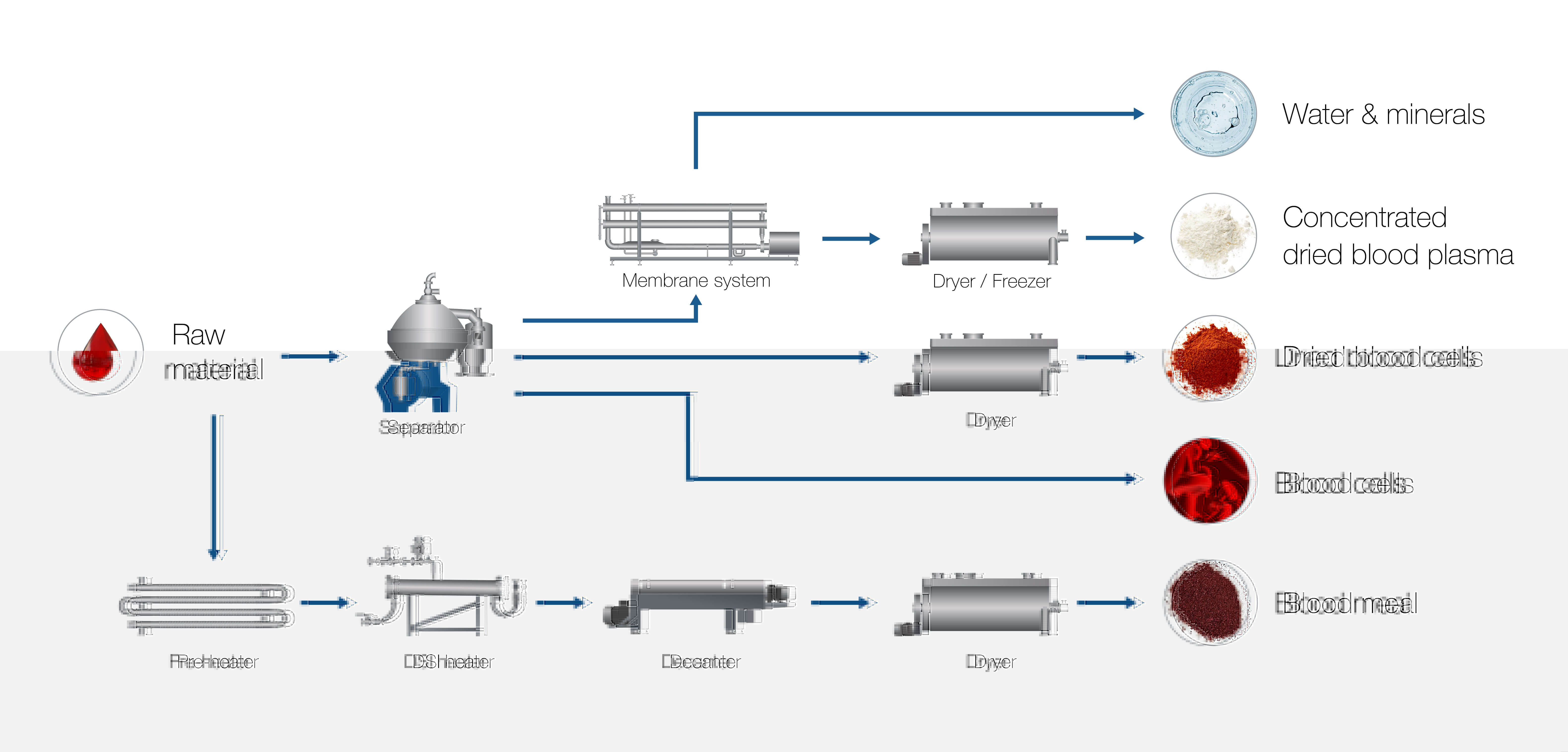 AL Process & Flowchart meat & pouletry Blood processing 241031