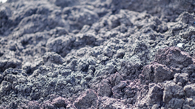 Sludge_dry_cake_in_wastewater_treatment