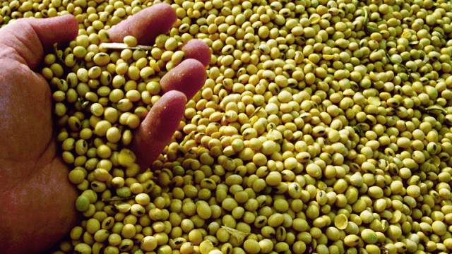 vegetable protein processing webinar