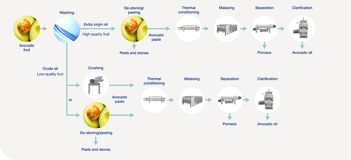 Avocado oil processing line