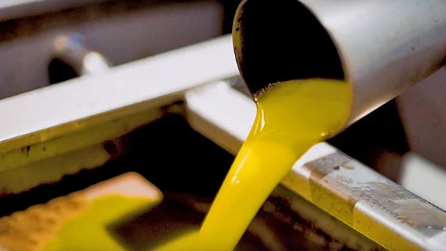 Olive oil extraction