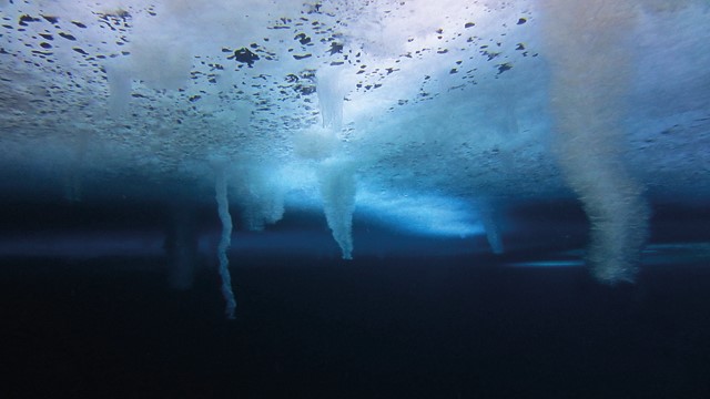 Freshwater generation 