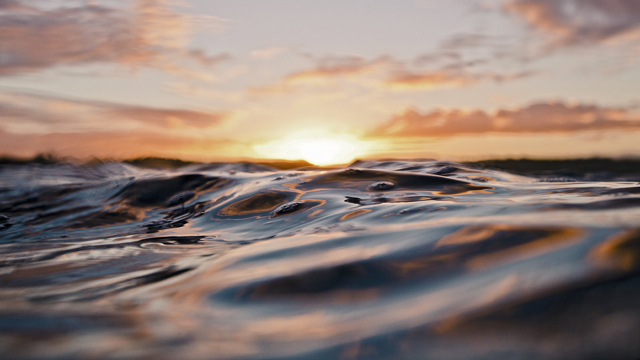 Oily waste treatment