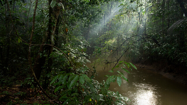 environment amazon 640x360 2