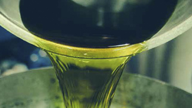 citrus essence story 640x360