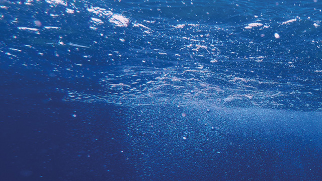 microplastics story 640x360