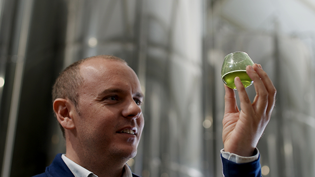 Olive oil separation