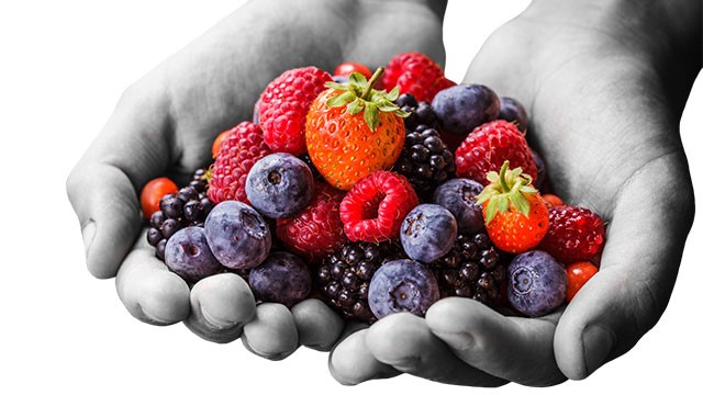 Drinktec berries1 mobile